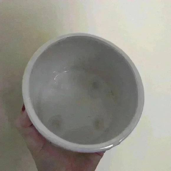 Rae Dunn  iridescent small plant pot says plant a kiss on me - Picture 4 of 7